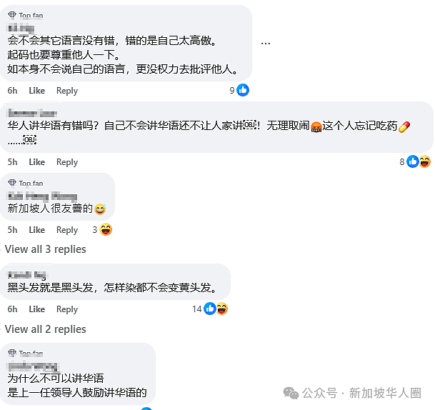 不满新加坡餐馆使用中文接待，女顾客大骂员工：“我长得像华人吗？”（组图） - 4