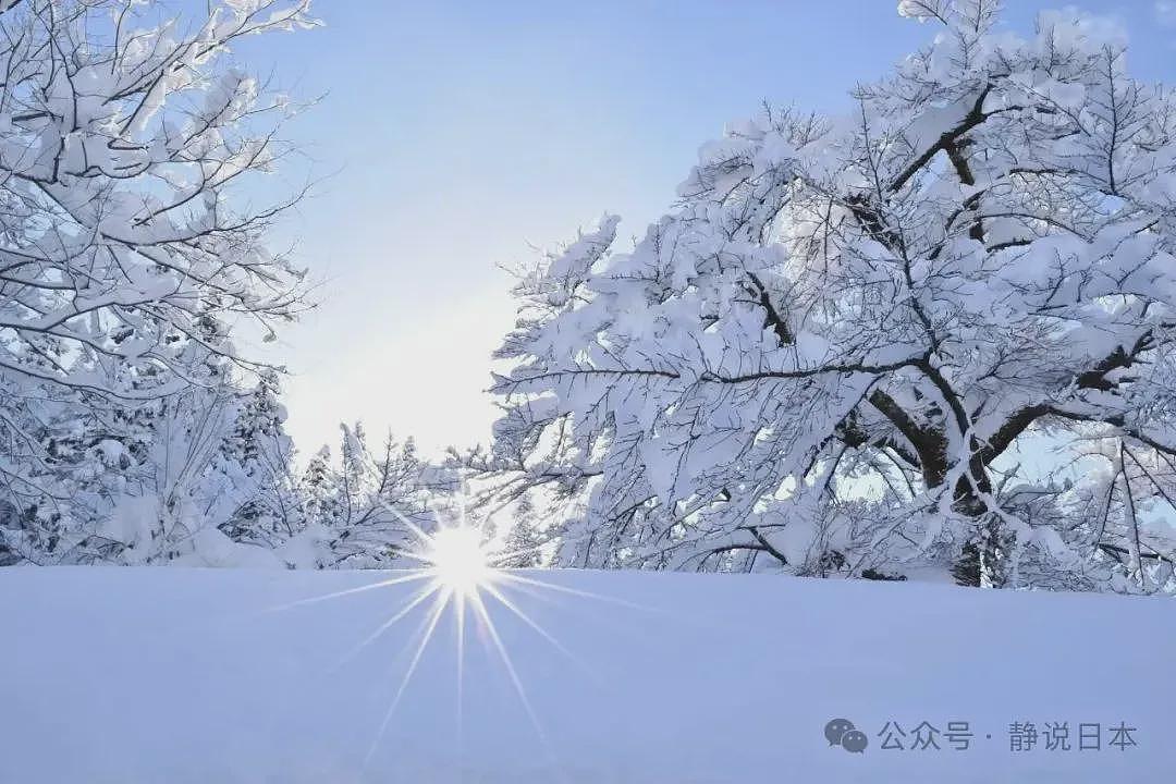 你不知道，日本的雪到底有多大，根本出不了门（组图） - 14