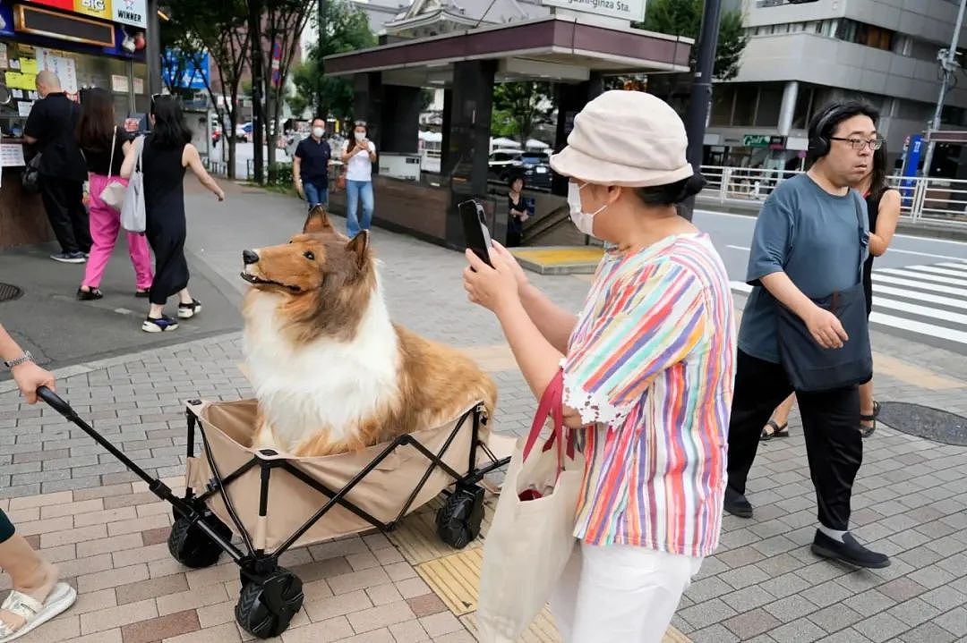 当了3年狗后，他干脆开了动物园让游客付费当狗，居然被订满了...（组图） - 4