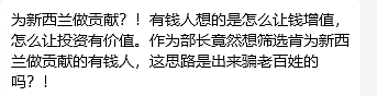 新西兰未来副总理驾车闯国会！ 华裔老人头破血流，奥克兰昆街“天降砖头”（组图） - 17