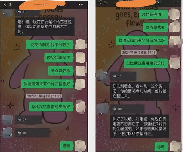 宠物狗送去驯化成网红，主人拿回狗狗被要求签“百万赔偿合同”（组图） - 4