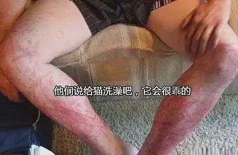 【宠物】小奶猫裹上面包糠准备被油炸，网友质疑虐猫正想怒骂！细看后下一秒默默流泪...（组图） - 22