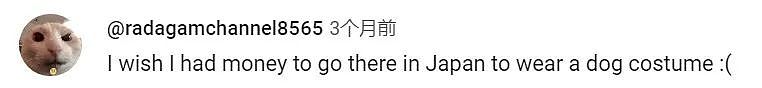 当了3年狗后，他干脆开了动物园让游客付费当狗，居然被订满了...（组图） - 11