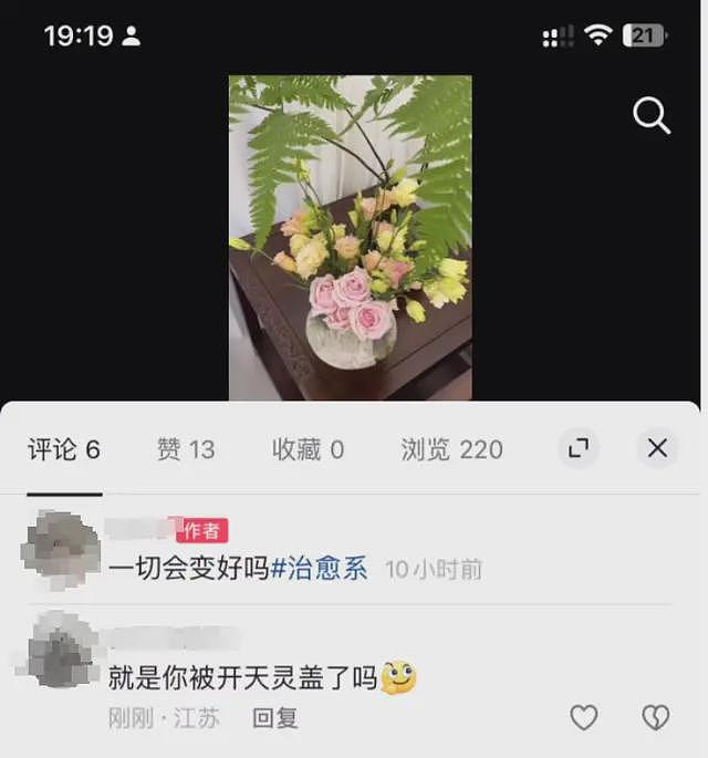 宠物狗送去驯化成网红，主人拿回狗狗被要求签“百万赔偿合同”（组图） - 2