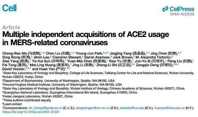 石正丽又出新研究成果：发现两种使用ACE2受体入侵的冠状病毒（组图） - 2