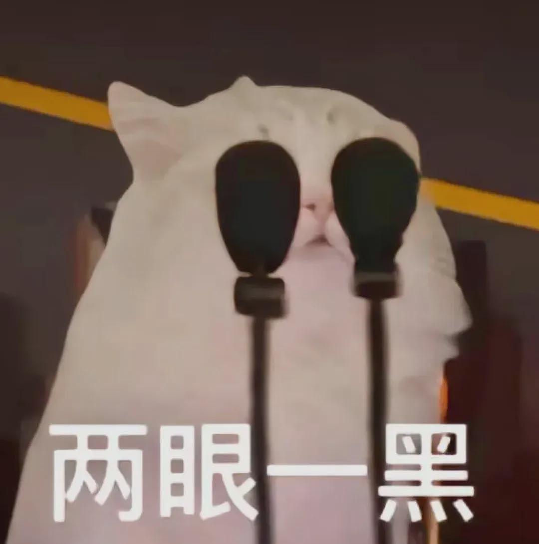 【宠物】小奶猫裹上面包糠准备被油炸，网友质疑虐猫正想怒骂！细看后下一秒默默流泪...（组图） - 5