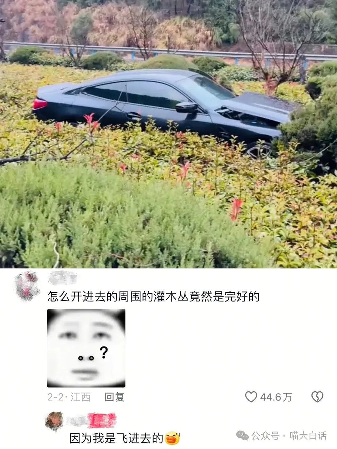 【爆笑】“婚礼上能捅多大的娄子？”哈哈哈哈哈哈我嘞个无实物表演（组图） - 66