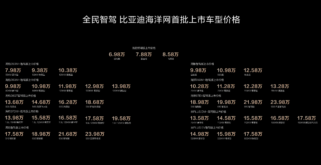 比亚迪掀起了一场风暴（组图） - 3