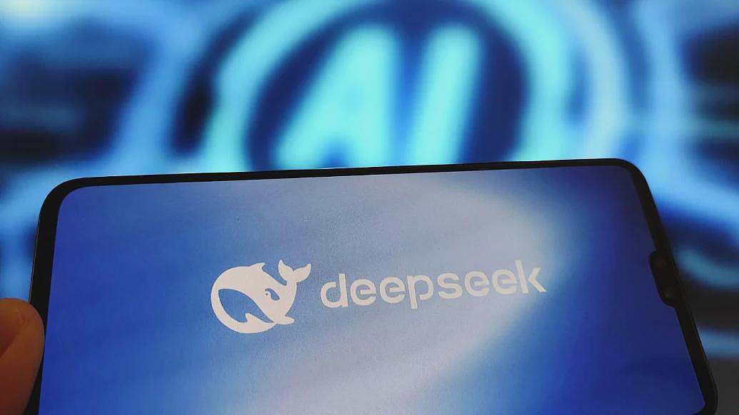 谁会成为下一个DeepSeek，近百家机构春节期间想托人投资（图） - 1