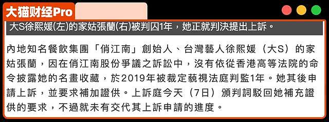 张兰到底有多少灰色秘密？谁在捧他们？（组图） - 6