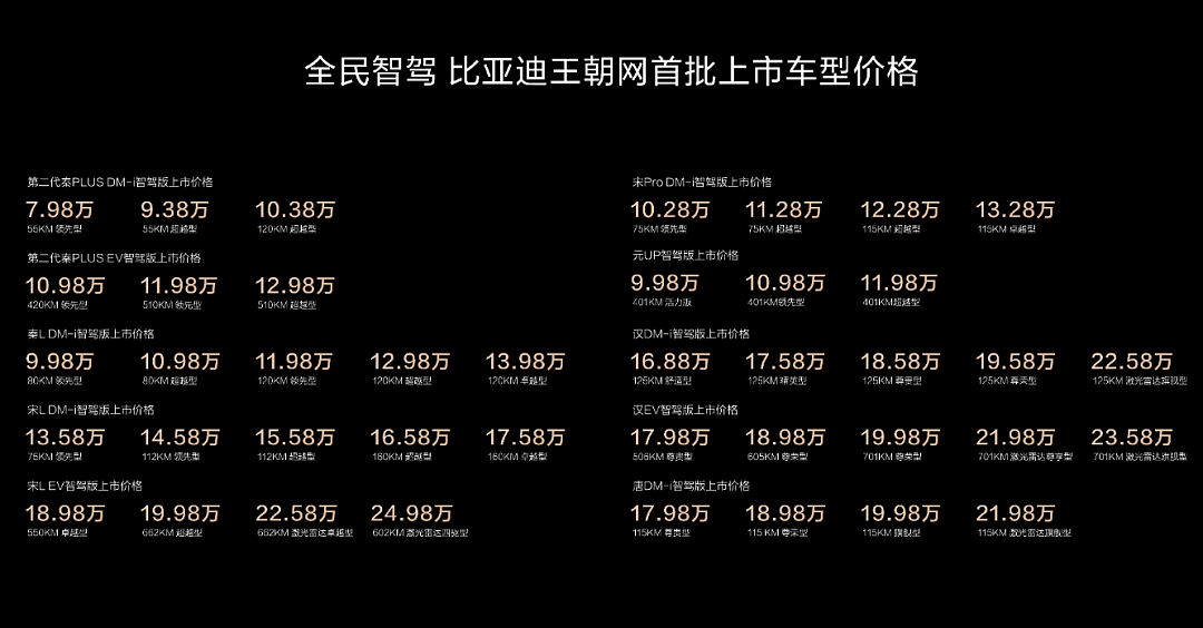 比亚迪掀起了一场风暴（组图） - 4