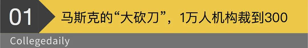 马斯克让万人下岗！美国学生崩溃：实习和工作都没了（组图） - 1