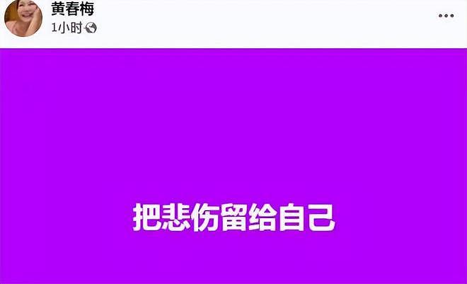 大S离世第10天徐妈发文：把悲伤留给自己，微笑头像遭到质疑（组图） - 3