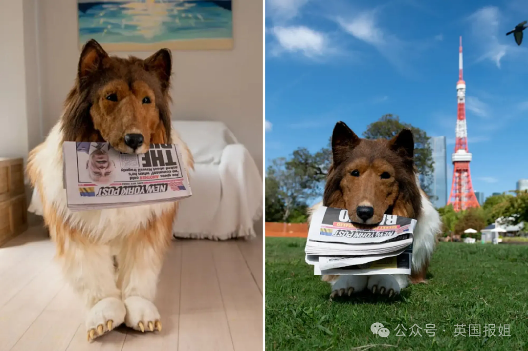 奇葩！澳洲一男老师上课变猫，戴猫耳朵还舔毛，逼学生喊自己“咕噜酱”？（组图） - 26