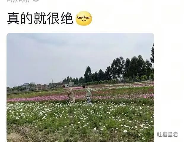 【爆笑】一张自拍能离谱到什么程度...？网友：看完后瞳孔地震（组图） - 14