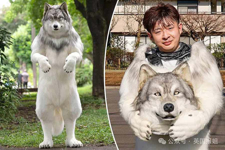 奇葩！澳洲一男老师上课变猫，戴猫耳朵还舔毛，逼学生喊自己“咕噜酱”？（组图） - 31