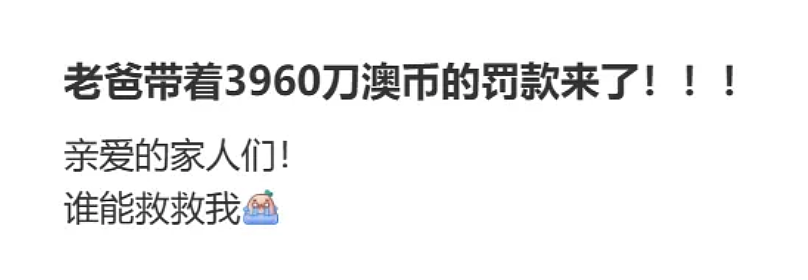 重罚！澳洲华人刚下飞机，就收到$3960刀罚单！这些错误真的不能再犯了...（组图） - 2