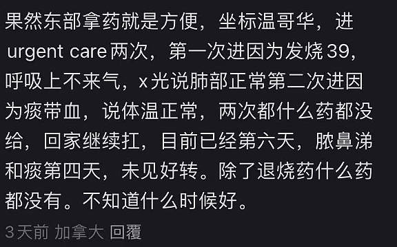 1.5万人死亡！北美最凶猛流感季15年未见，加拿大9成甲流，大批华人中招（组图） - 5