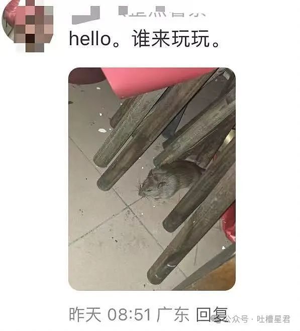 【爆笑】“关于朋友们带我去捉奸这件事...？”网友：啊啊啊，手里的瓜子不香了！（组图） - 63