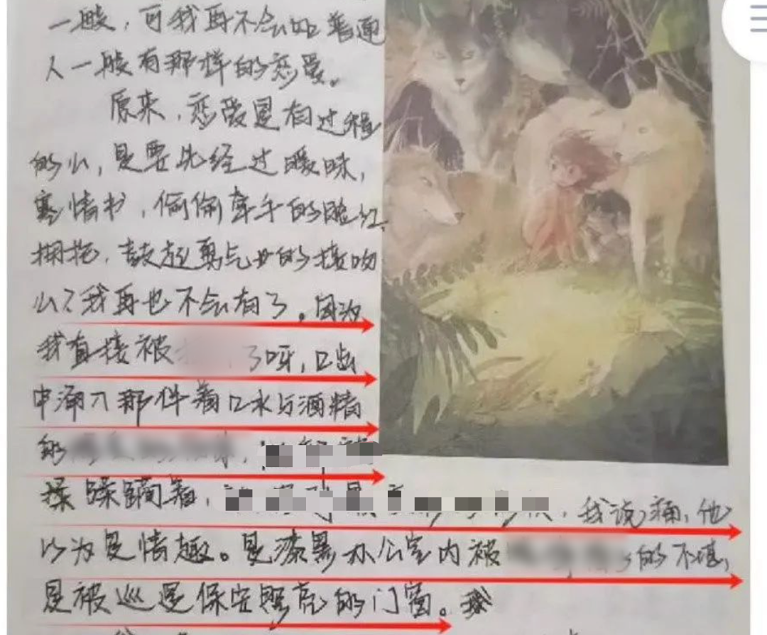 广西理科女状元之死：那个“狼师”，一步步诱她进深渊……（组图） - 16