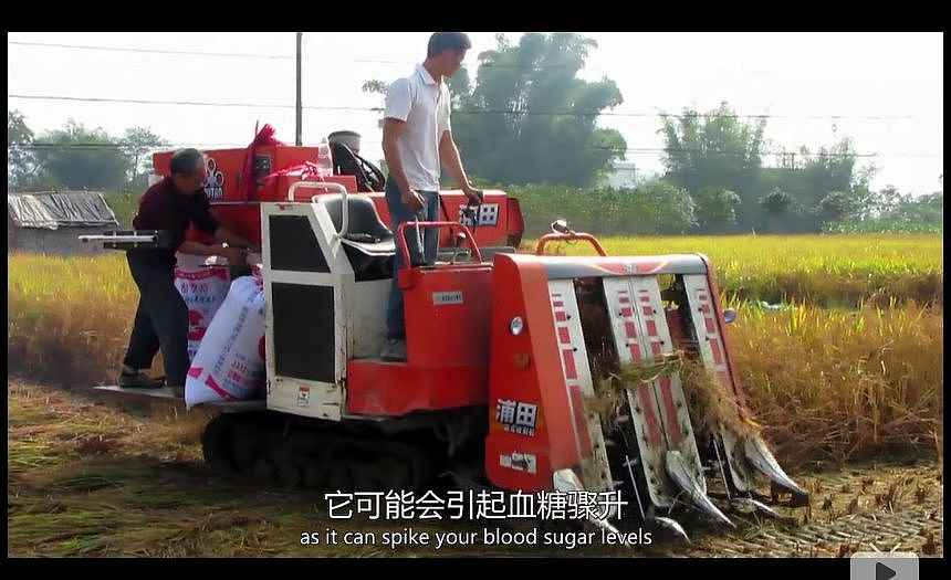 震三观！英国BBC纪录片盘点全球最不健康饮食方式，中国人中了好多箭…（组图） - 82