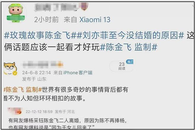 杨采钰被曝怀孕，网友感慨她比刘亦菲聪明，远离陈金飞找年轻男友（组图） - 16