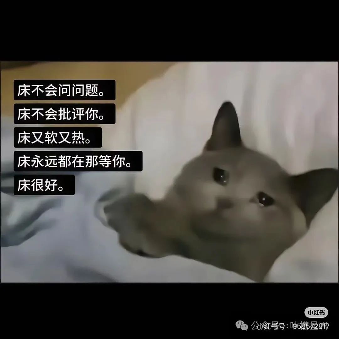 【爆笑】“关于朋友们带我去捉奸这件事...？”网友：啊啊啊，手里的瓜子不香了！（组图） - 44