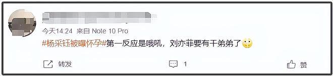 杨采钰被曝怀孕，网友感慨她比刘亦菲聪明，远离陈金飞找年轻男友（组图） - 6