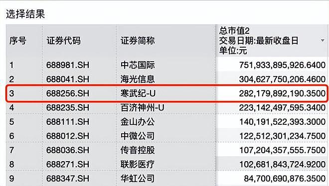 被美国制裁2年后，80后小伙成江西新首富（组图） - 15