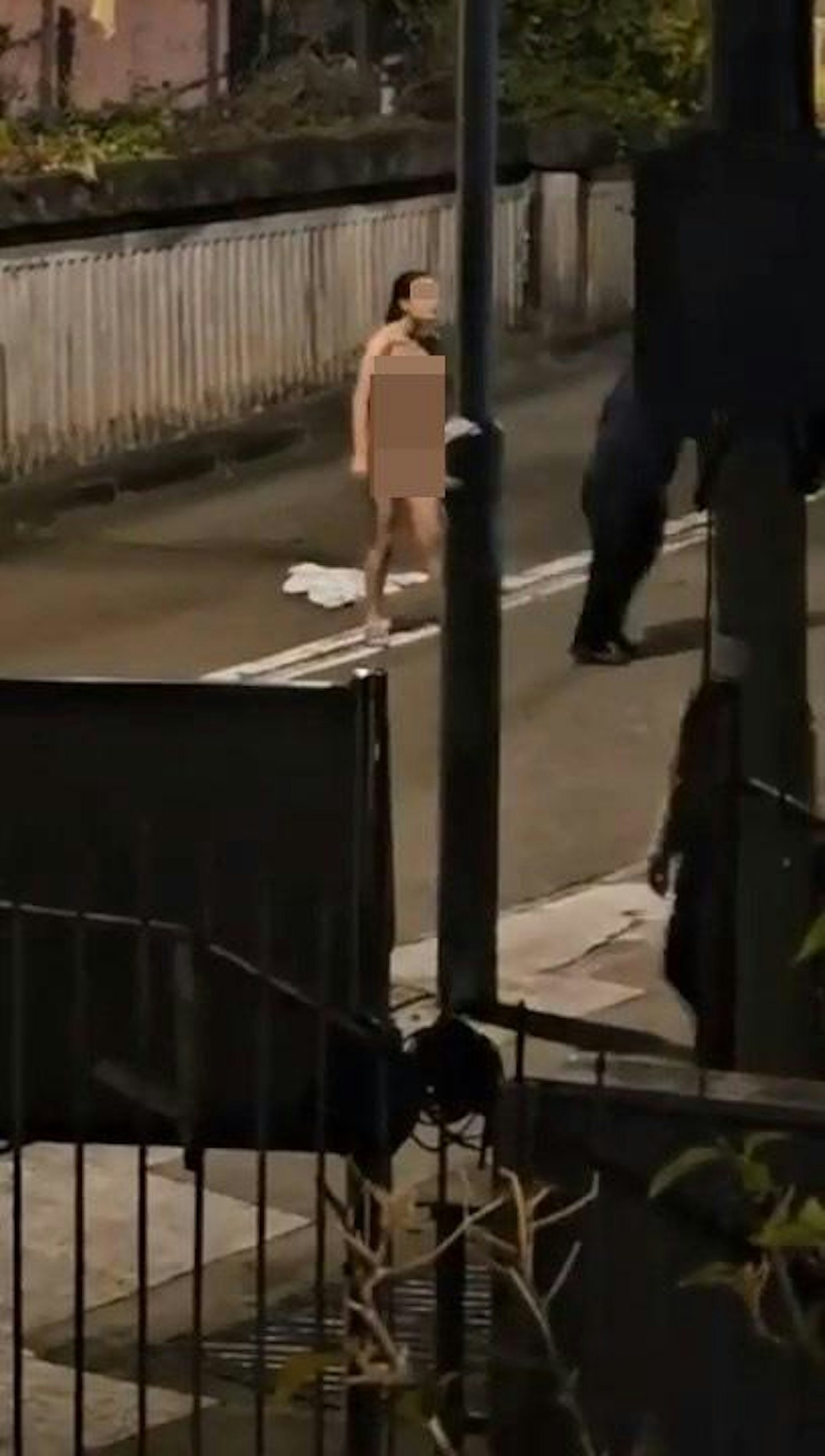 全裸港女马路暴走影片疯传！怒掴男友咆哮：报警拉我啊，后续更狂...（视频/组图） - 5