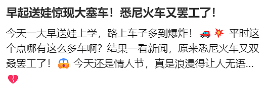 7人死伤！悉尼城铁大瘫痪，高速严重车祸！打工人怒吼：还让不让人活…（组图） - 12