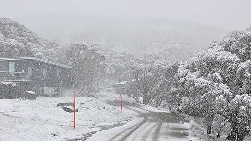 极地寒流来袭，澳洲将迎来罕见“夏季降雪”！多地气温骤降（组图） - 3