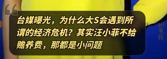 S妈疑争孩子，陶晶莹力挺具俊晔！大S的体面还是碎了...（组图） - 8