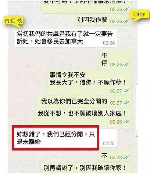 恭喜成功结婚！被亲爹卖给老头还债，今成功脱身迅速嫁人！亲姐嫁入豪门享富贵（组图） - 28