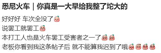 7人死伤！悉尼城铁大瘫痪，高速严重车祸！打工人怒吼：还让不让人活…（组图） - 10