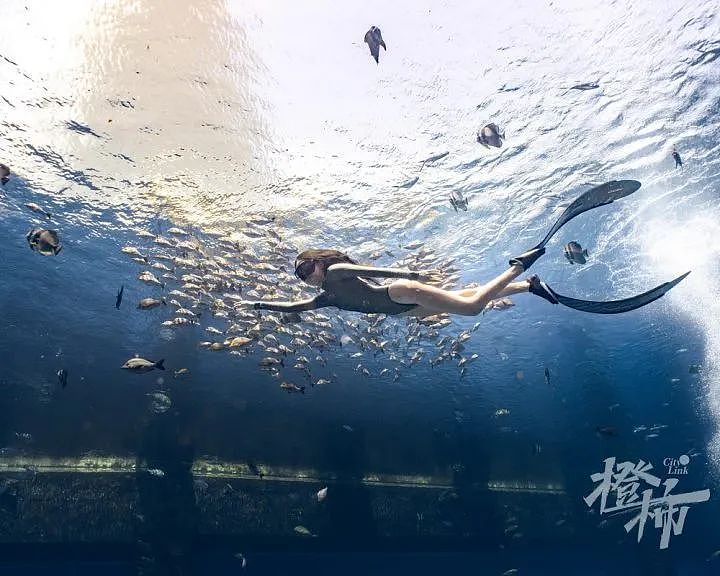 “浮潜是最危险的潜水！”女子春节在泰国被宣布脑死亡，多位网友讲述惊险经历（组图） - 5