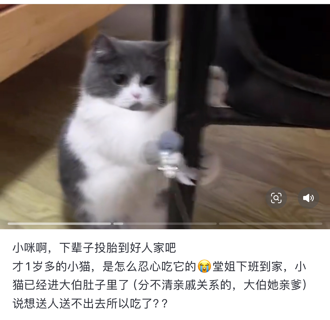 广西“吃猫逼婚”事件，背后最残酷的真相是什么？（组图） - 3