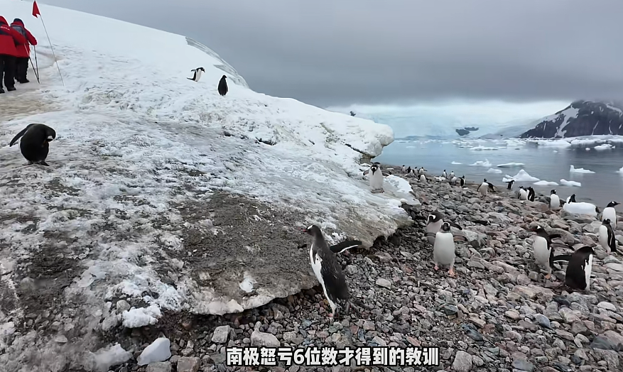 数百人滞留南极！上海人亲历后自称“大冤种“，有人2天损失16万…（组图） - 8