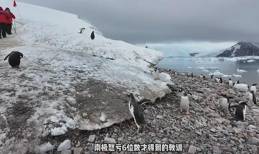 数百人滞留！一大半是中国人，有人2天损失16万（组图） - 2