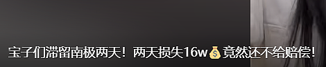 数百人滞留南极！上海人亲历后自称“大冤种“，有人2天损失16万…（组图） - 12