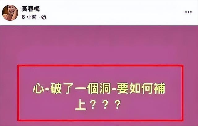 S妈向汪小菲宣战后惹众怒！歌手黄安发声劝诫：放下吧，别再造新殃（组图） - 7