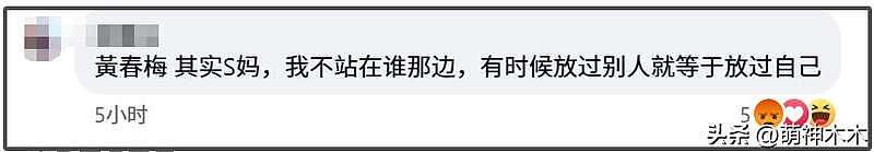 S妈宣战原因曝光！现住房子属于大S遗产，疑似不愿归到孩子名下（组图） - 17