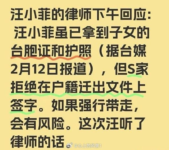 大S追思会家中举办，业内持续炮轰小S逃避，伊能静被骂后取消点赞（组图） - 11