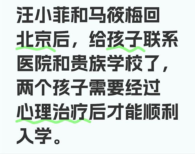 汪小菲夫妇被偶遇现身红螺寺，网友质疑去求子，深情人设再遭质疑（组图） - 17