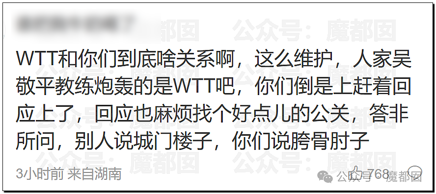 热议！国乒元老吴敬平炮轰“被资本裹挟”引发大动荡！王皓马琳下场表态（组图） - 49