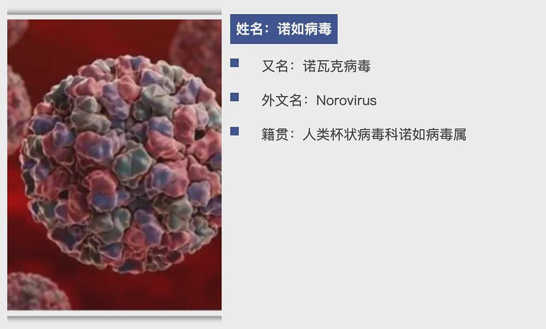 深圳诺如病毒感染风险上升，疾控紧急提醒（组图） - 2