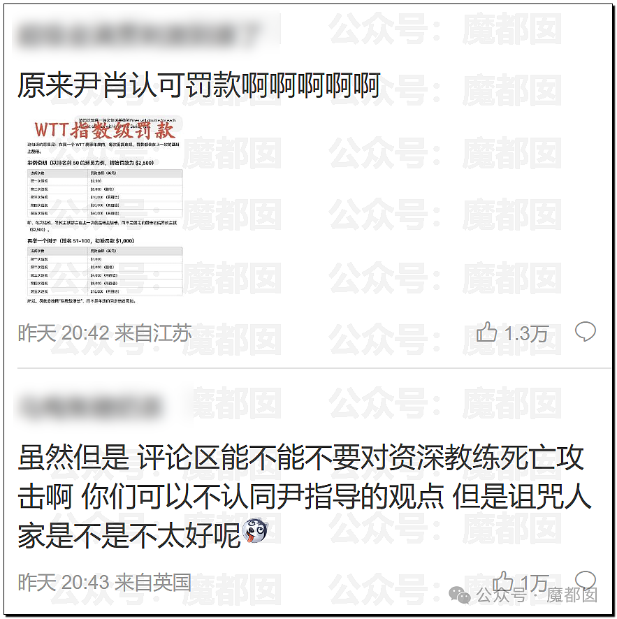 热议！国乒元老吴敬平炮轰“被资本裹挟”引发大动荡！王皓马琳下场表态（组图） - 36