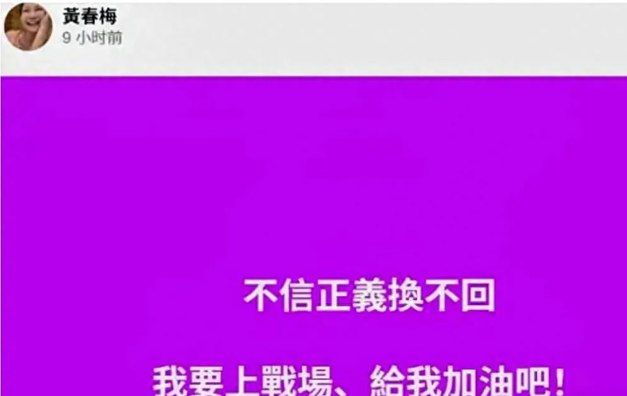 汪律师曝s妈宣战真实目的！阻迁2娃户籍，用监护权换上亿遗产（组图） - 1