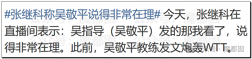 热议！国乒元老吴敬平炮轰“被资本裹挟”引发大动荡！王皓马琳下场表态（组图） - 44