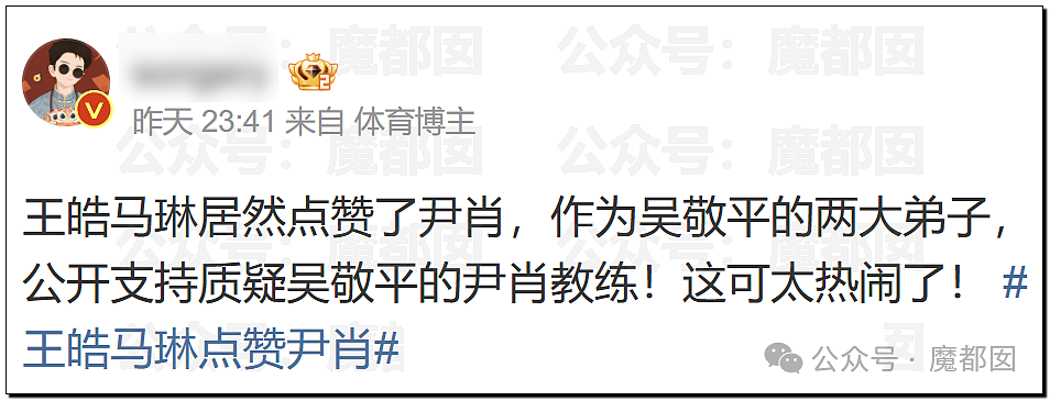 热议！国乒元老吴敬平炮轰“被资本裹挟”引发大动荡！王皓马琳下场表态（组图） - 48